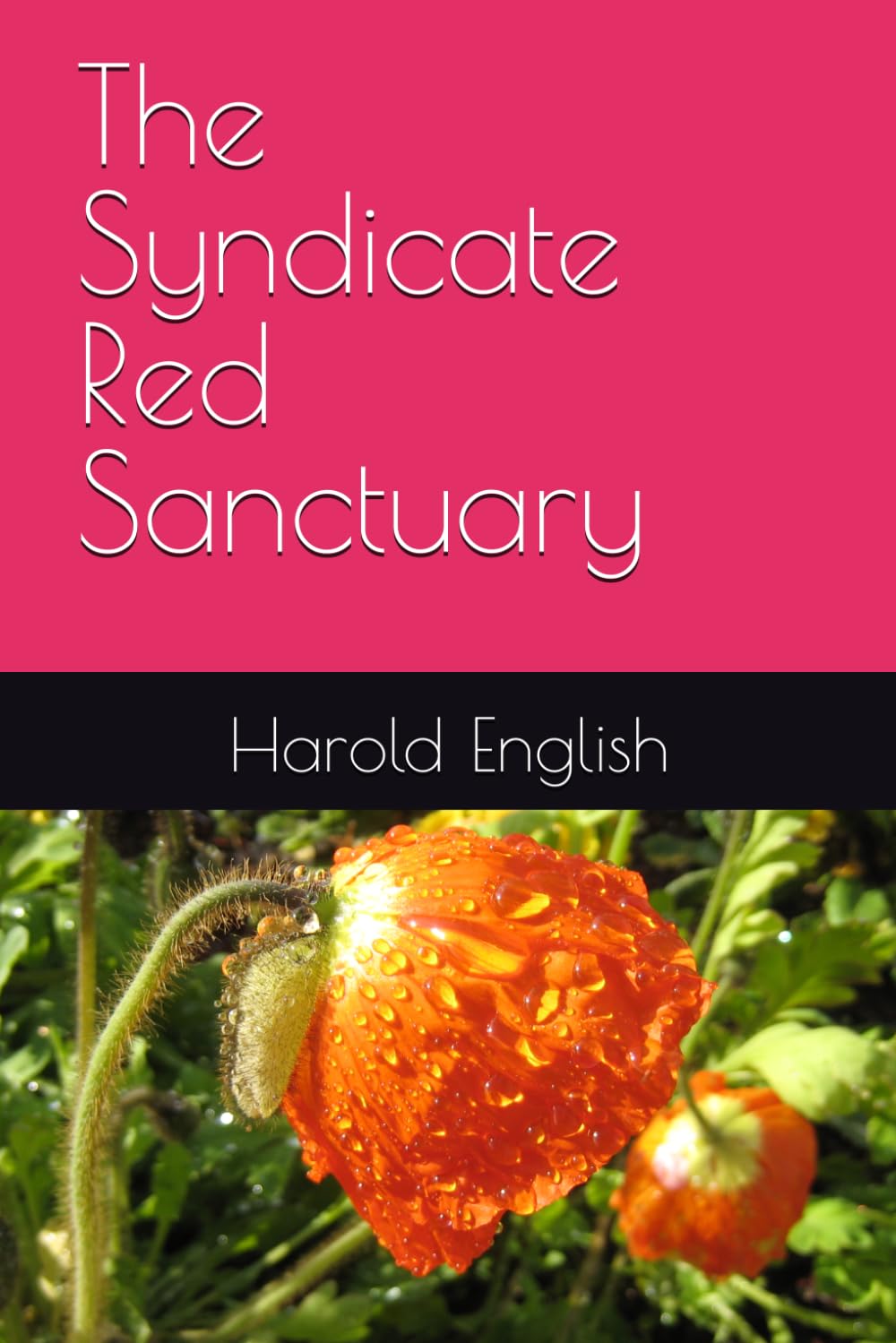The Syndicate Red Sanctuary (The Syndicate Action Novel Series)