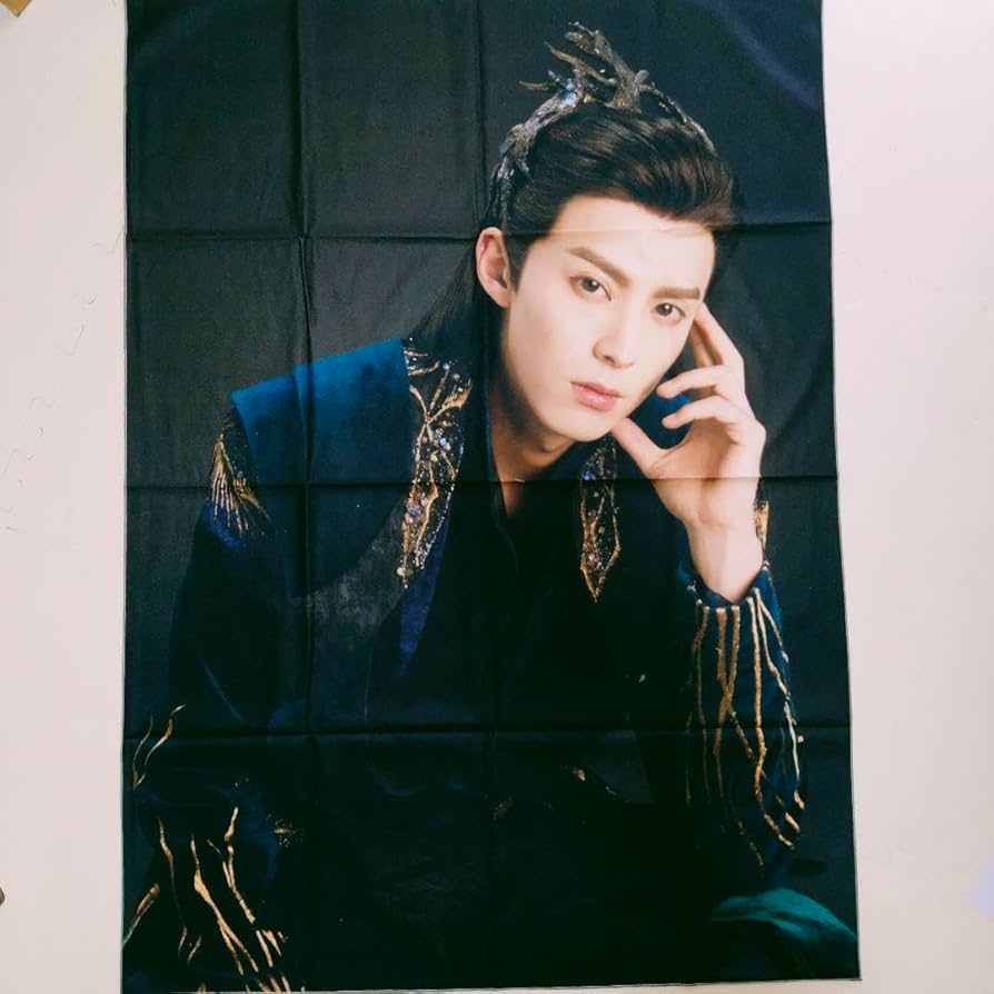 蒼蘭訣王鶴棣 虞書欣反射カード100入りセット苍兰诀ワン・ホーディー