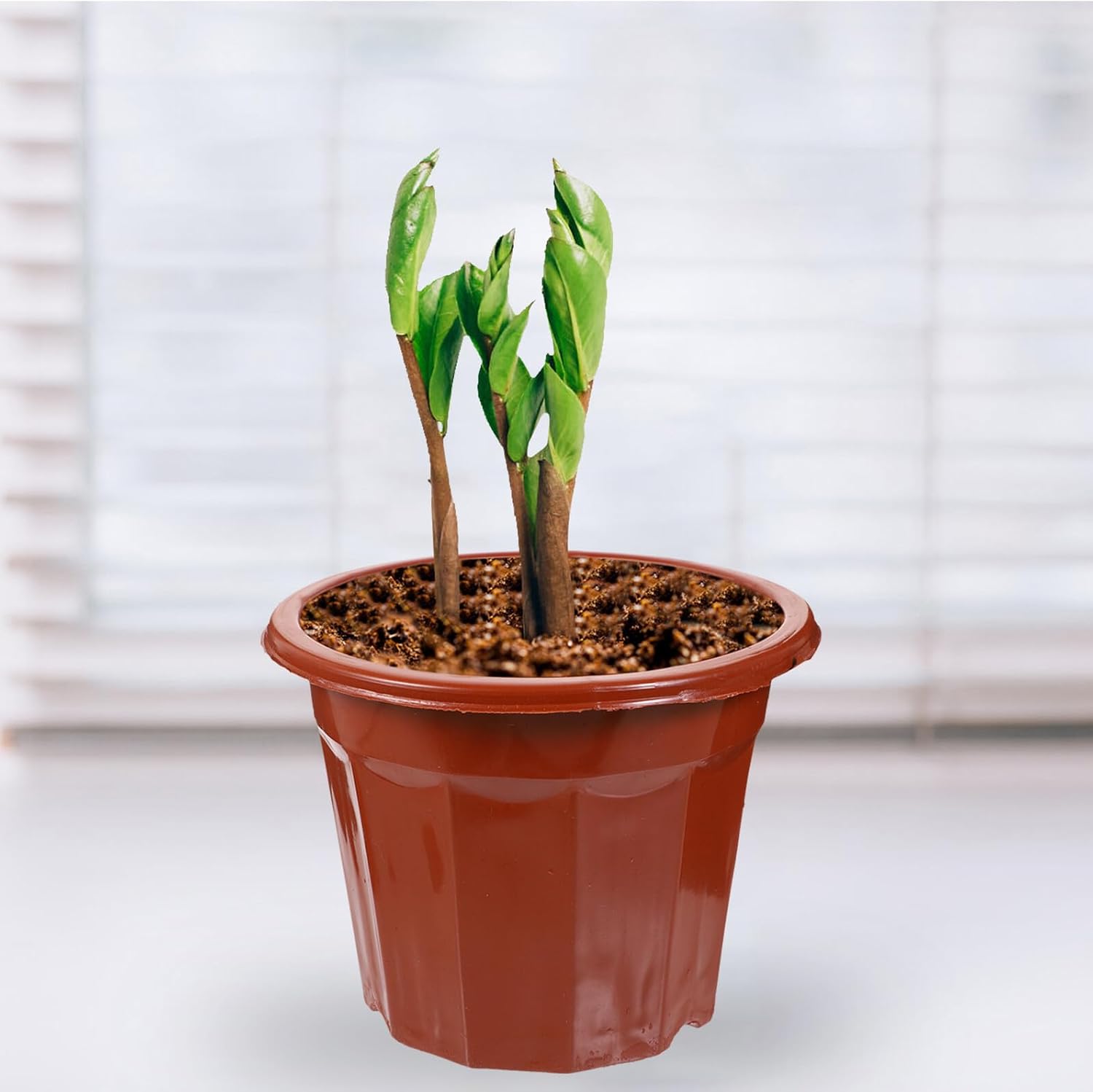 25pcs Red 12-Angle Nursery Planter Pots for Succulent Planting and Seedlings, High-Sided Plastic Flower Pots with Drainage for Greenhouse and Home Gardening