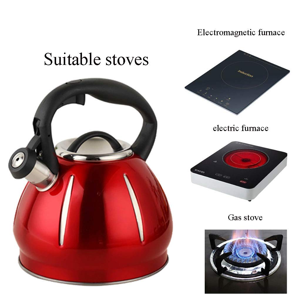 Hervidor eléctrico con diseño de calabaza, 3.0 L, gran capacidad, material grueso, acero inoxidable 304, para uso doméstico, para hervir agua de forma eficiente, cocina de inducción, estufa