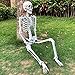 5.4ft/165cm Halloween Skeleton,Life Size Skeleton Plastic Full Body Human Bones with Movable Joints for Halloween Patio Lawn Yard Garden Party Prop Decoration