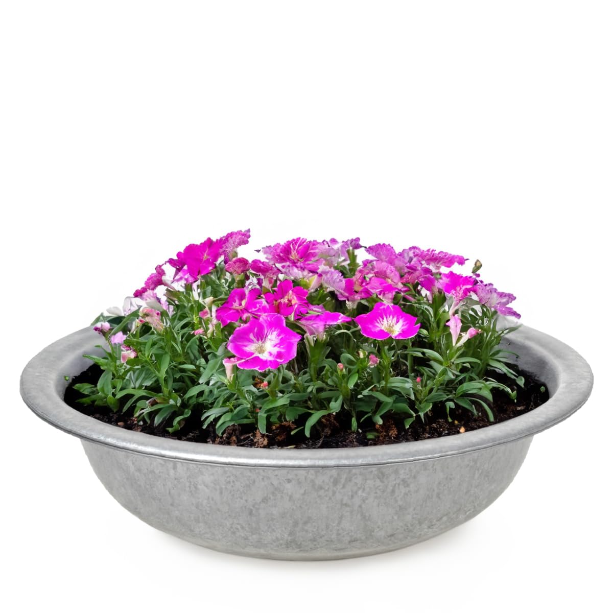matches21 Zinc Bowls zinc Bowl Planter 1 pcs. Traditional Decorative Metal Bowl - Ø 35x9,5 cm