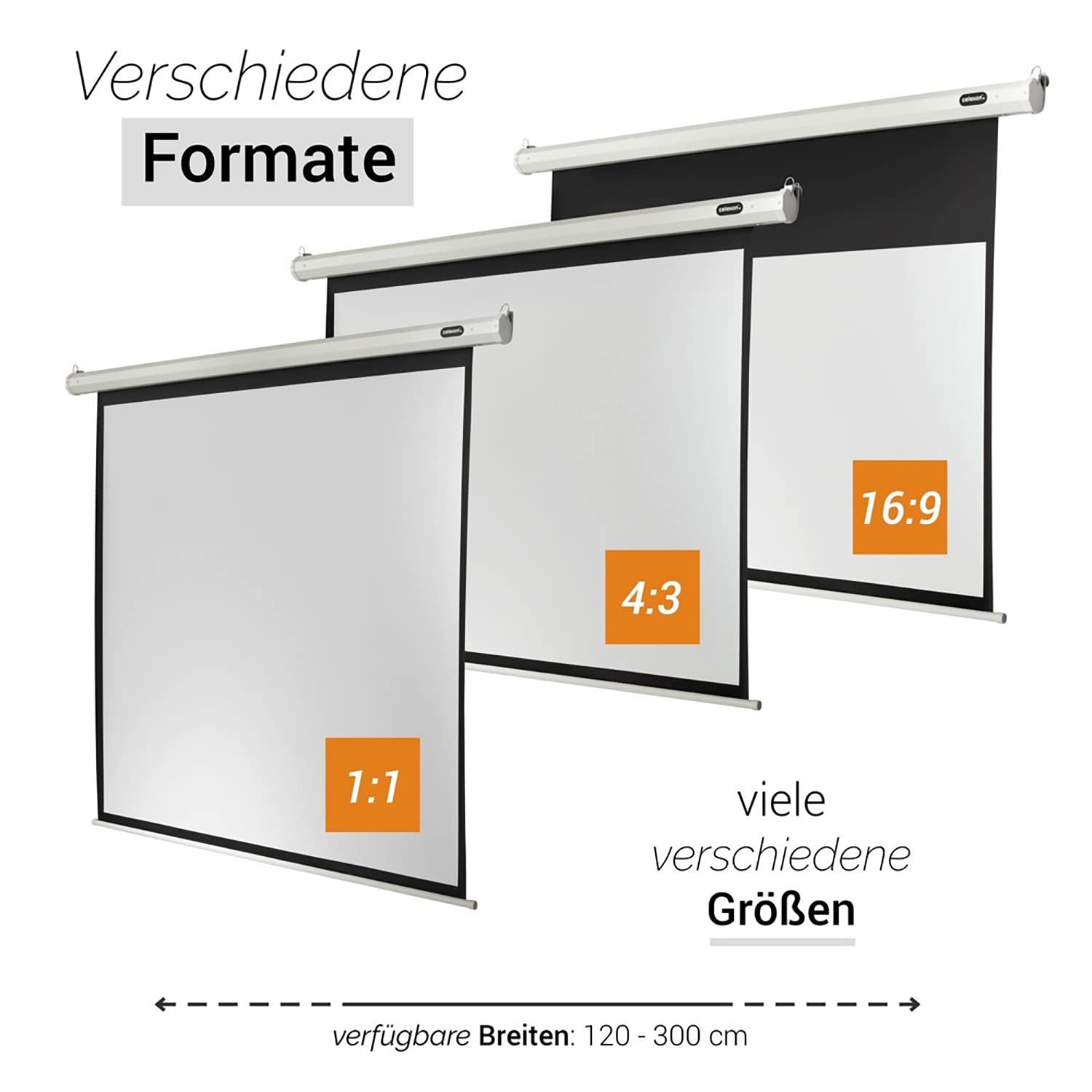 Celexon ELECTRIC ECONOMY, Schermo motorizzato adatto per tutti i tipi di proiezione, fattore Gain di 1,2, formato 1:1, 180 x 180 cm, bianco