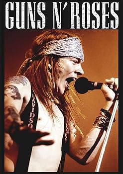 Amazon.co.jp: ポスター☆アクセル・ローズ（）☆W. Axl Rose/ガンズ