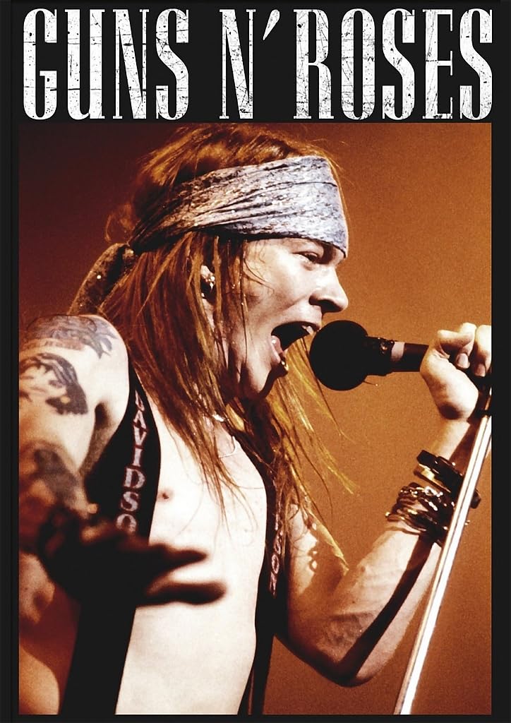 激レア　Guns N' Roses プロモポスター　ガンズアンドローゼズ　axl Yahoo!オークション - ポスター アクセル・ローズ（Guns N