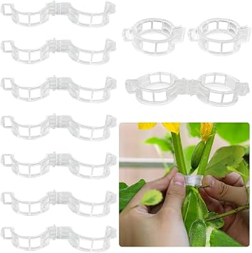100Pcs Plant Support Clips, Reusable Clear PP Tomato Clips for Climbing Plants, Seedling Garden Clips for Plants Support Easy to Use and Unlock, Thickened Widen Orchid Clips Clear,100pcs