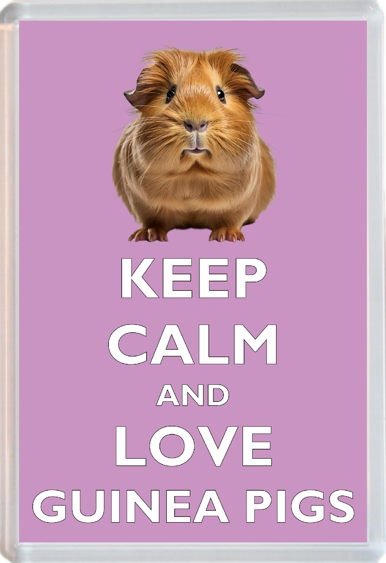 Baked Bean Store Multicolor Keep Calm And Love Guinea Pigs - Jumbo Fridge Magnet 96 X 67Mm