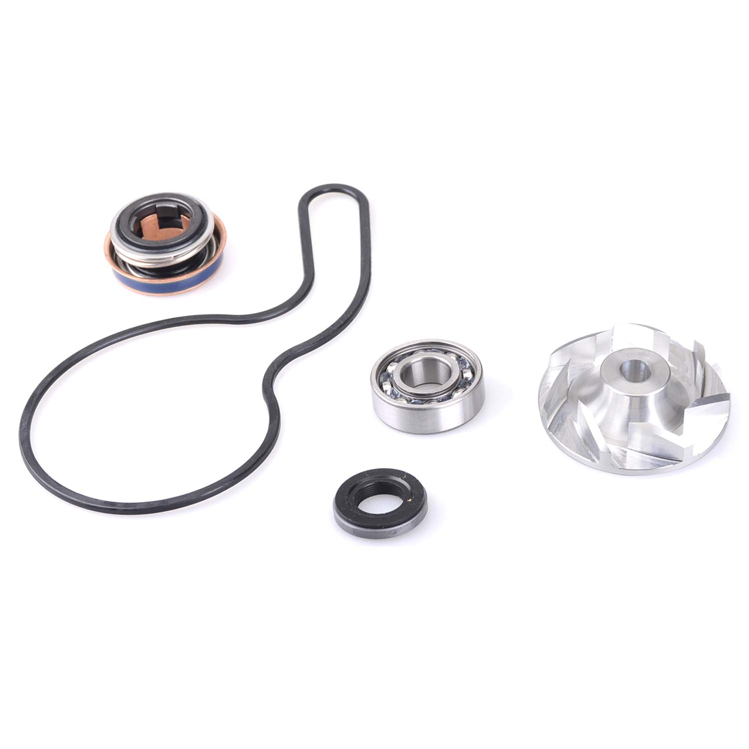 Buy Mallofusa Water Pump Rebuild KitSeals Driver Impeller 3610075