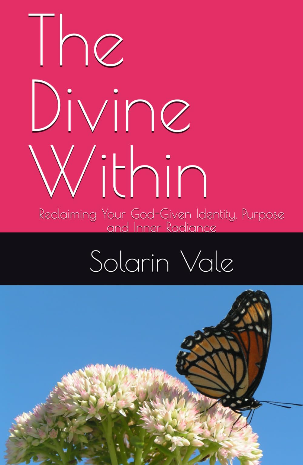 The Divine Within: Reclaiming Your God-Given Identity, Purpose and Inner Radiance