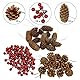 BB Sport Weihnachtsdeko Natur Tischdeko Advent Dekoration Beeren und Tannenzapfen Weihnachtsdekoration Selber Machen Basteln Adventskranz