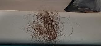 Review Image by Lucy Luna