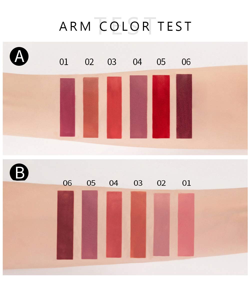 6 Colors Matte Liquid Lipstick Makeup Set, Matte Velvety Long-Lasting Wear Non-Stick Cup Not Fade Waterproof Lip Gloss (B) : Beauty