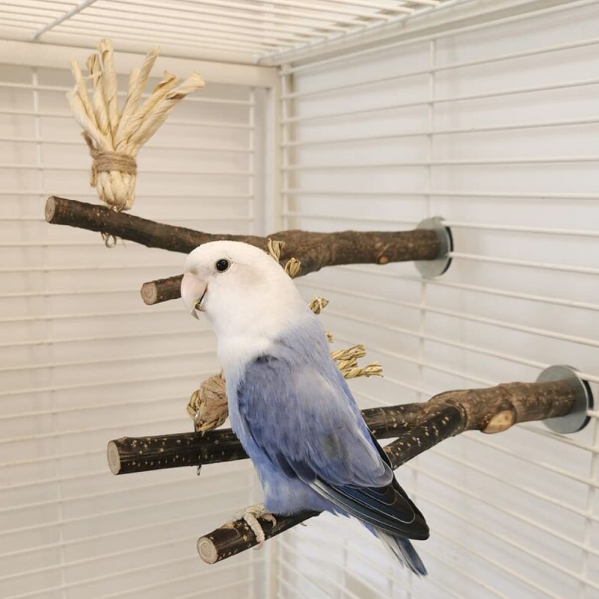 minkissy 5stücke Vogelspielzeug Aus Naturholz Kauspielzeug Für Papageien Und Wellensittiche Mit Natürlichem Astdesign Robust Und - Für Vogelkäfig Zubehör Fördert Spiel Und