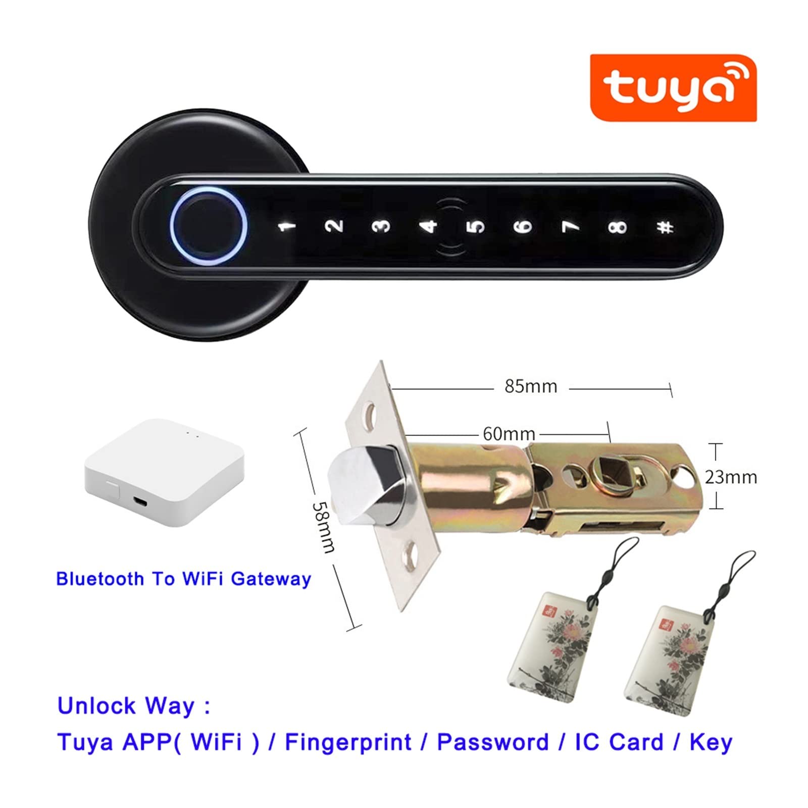 Inteligentny zamek do drzwi, Tuya Smartlife APP Kompatybilny z pilot Inteligentny zamek biometryczny linii papilarnych do wewnętrznych drewnianych metalowych drzwi(C6 Tuya Kit B)