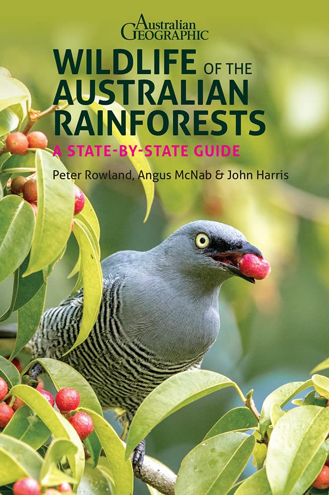 Wildlife of the Australian Rainforests by Peter Rowland, Angu... - 9781913679033