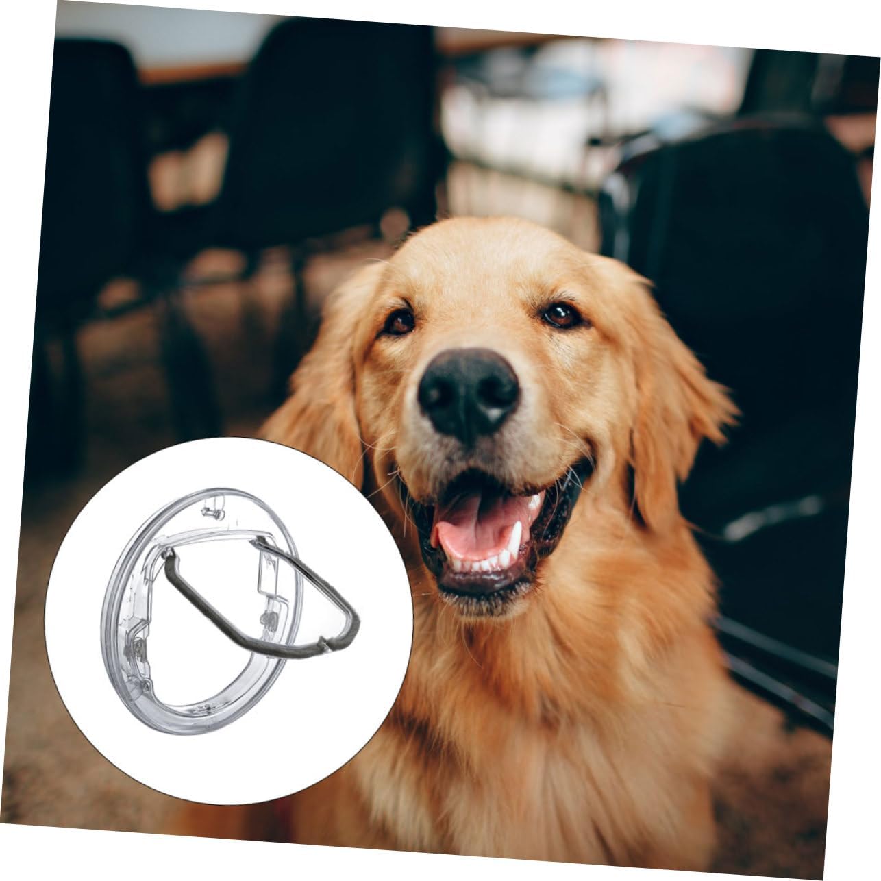 Locking Dog Cat Pet Door Round Plastic Cat Hole Easy Install Pet Supplies