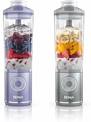 Mixeur portable Ninja Blast Max