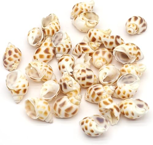 Cuentas de concha natural multicolor para hacer manualidades, pecera, acuario, decoración del hogar, B0B6PQRLRM