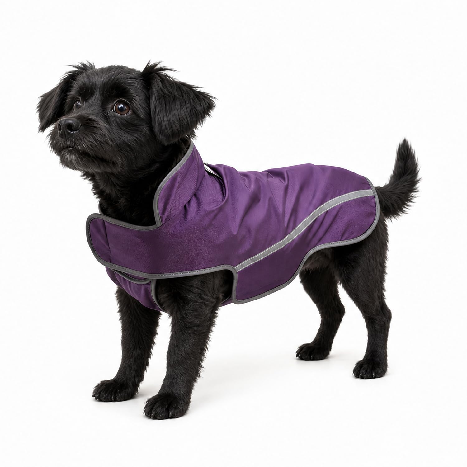 BlackDoggy Dog Raincoat Waterproof & Breathable Jacket with Magic Tape Adjusters, Safety Reflective Strips & Leash Hole, Easy-Clean Lightweight Design for Rainy Walks (Small, Purple)