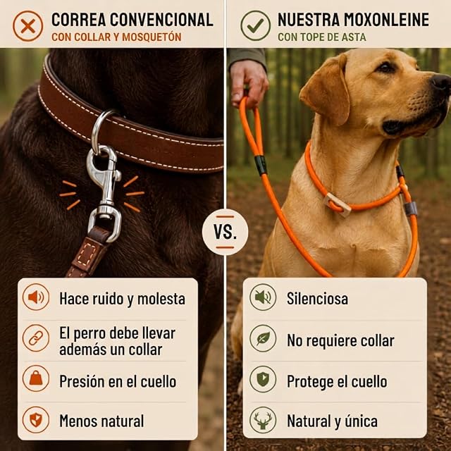 Foto 8 de 8 de romneys Moxon cuerda Durham con tren limitación - Perros cuerda