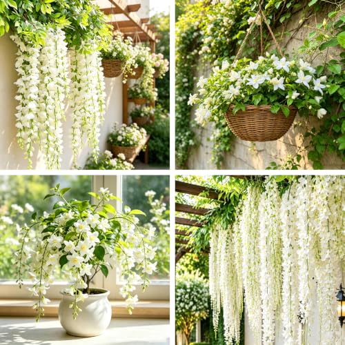 Mixrug Climbing Weeping Jasmine Seeds for Planting 300+pcs Fragrant Climber Jasmine Perennial Flower Seeds Plants Heirloom Non-GMO Beauty Climbing Flowers for Home Garden Outdoors