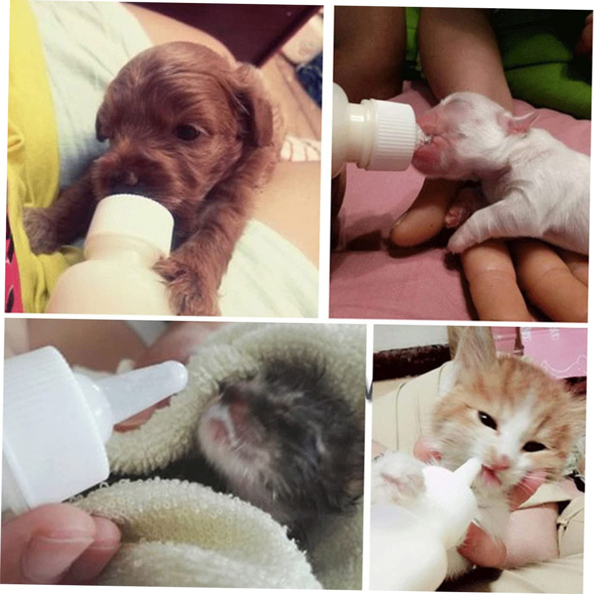 Toddmomy Pet Bottle Set 50ml Dog Cat Feeding Bottle Kit 3 Sizes Nipple Silicone/pp for Kitten Puppy Nursing Portable Easy to Use