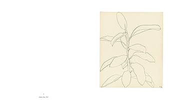 洋書 Plant Drawings - Ellsworth Kelly 61CwBqRMqBL._UF350,350_QL80_.jpg