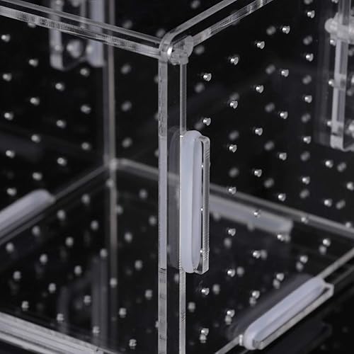 Miniatura 50 de Caja de cría de peces, caja de incubadora de incubadora, cajas de cría de peces de acuario, cajas divisorias para eclosionar, accesorio