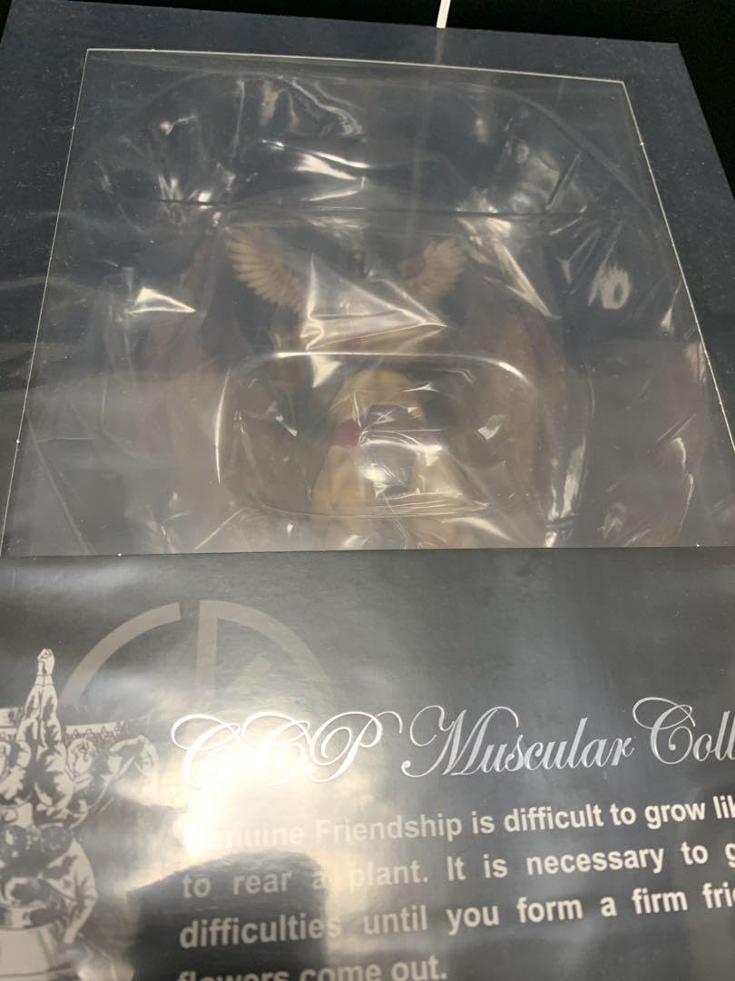 Amazon.co.jp: CCP キン肉マン ザ?ホークマン 原作カラー : おもちゃ
