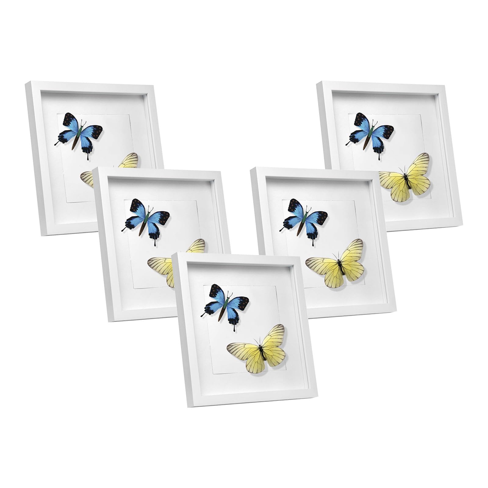 EUGAD Lot de 5 Cadre Photo en Bois 40x40cm, Style 3D Cadre de Boîte d'Ombre Profonde pour Objets jusqu'à 1,5cm, Galerie Photos Décoration Murale avec Passe-Partout Vitre en Acrylique, Blanc