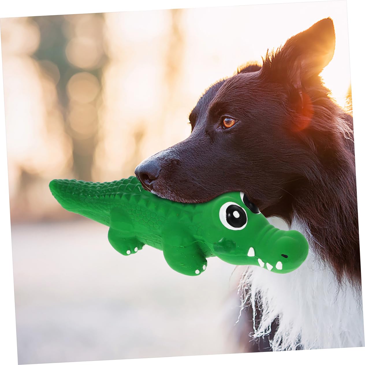 BESPORTBLE Lot De 4 Jouets Couineurs en Latex pour Petits Chiens Jouets À Mâcher pour Animaux De Compagnie 2 Pièces X 4