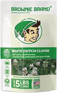 Brownie White Dutch Clover Seed
