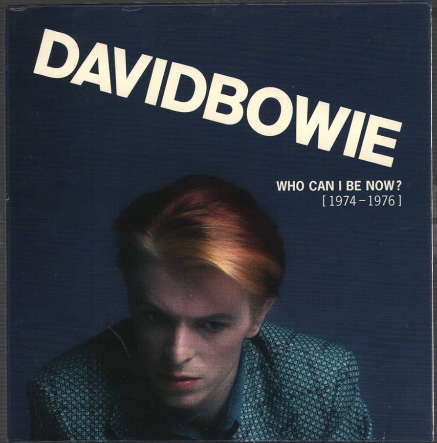DAVID BOWIE / WHO CAN I BE NOW? シュリンク付 Who Can I Be Now? (1974 to 1976) 13 LP 180g Vinyl Box Set