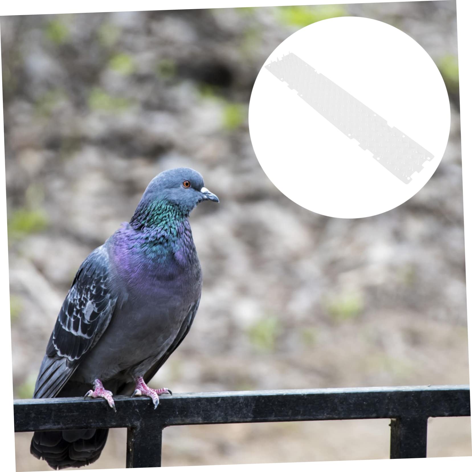 Katzenmatte mit Dornen Langlebige Kunststoff Spikematte für Balkon und Garten Anti Katzen Schutz Tierabwehrend für Pflanzen und Blumentöpfe