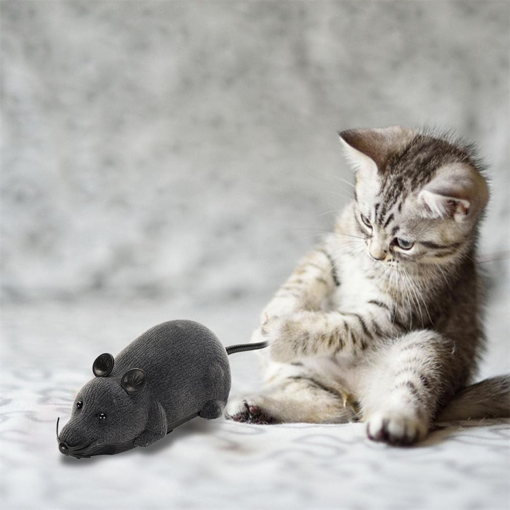 FAKKA Ratto Telecomandato Topo Robotico per Gatto - Giocattolo Interattivo Mouse Elettronico Senza Fili e Senza Batteria