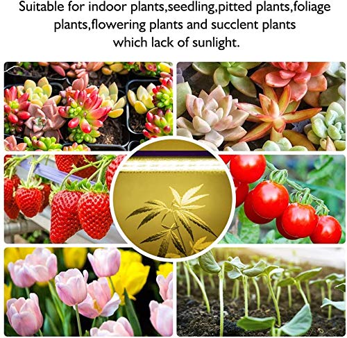 Fregenbo DDN-120 Led Grow Lights Strips For Indoor Plants With Auto On & Off Timer, T5 Sunlike Full Spectrum Grow Lights Bar Growing Lamps For Greenhouse Shelves Hydroponics Succulent thumb #4