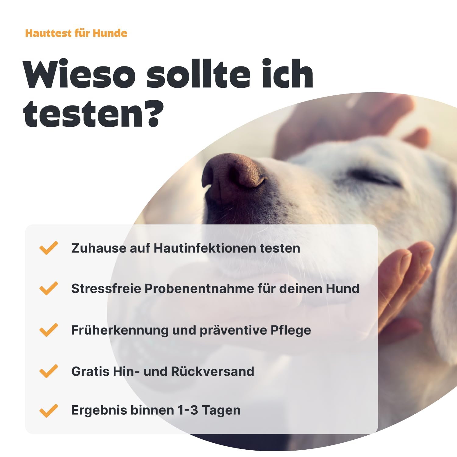 Pezz Haut- und Juckreiz Test für Hunde zum Einsenden von zwei Abstrich-Proben | Teste stressfrei zuhause auf Milben, Bakterien und Hefepilz | Ergebnis als Labor-Befund | gratis Labor-Versand