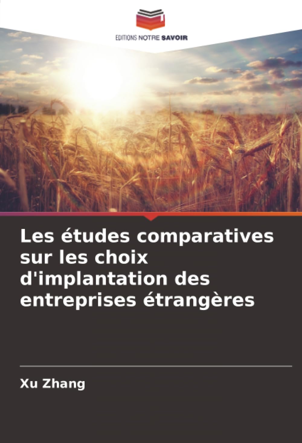 Les études comparatives sur les choix d'implantation des entreprises étrangères