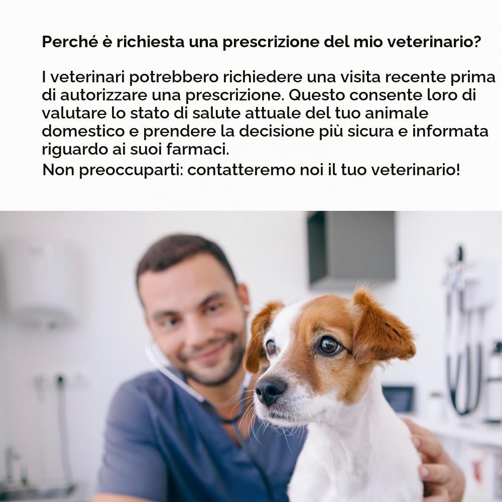 Bravecto 1-Mese Antiparassitario per Pulci e Zecche per Cuccioli, 1 Masticabile, Fornitura di 1 Mese, >9,9-10 Kg, Scatola Arancione
