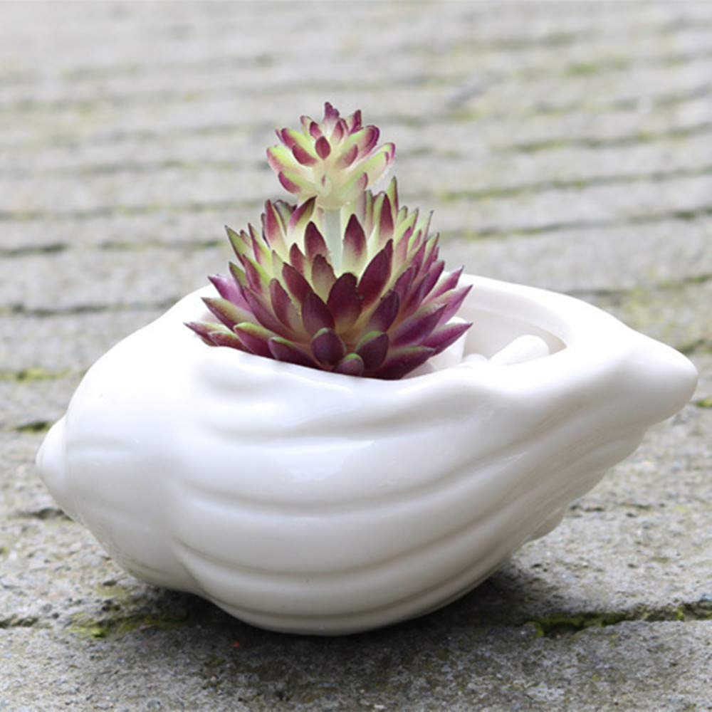 Amazon.co.jp: DIYOMR ホワイト貝殻セラミックプランター ミニ植木鉢