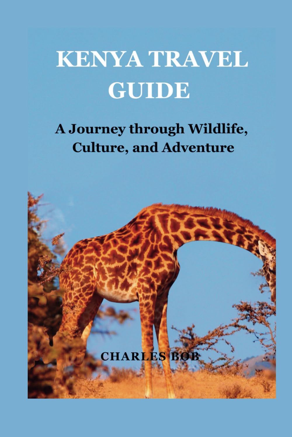 KENYA TRAVEL GUIDE: A Journey through Wildlife, Culture, and Adventure