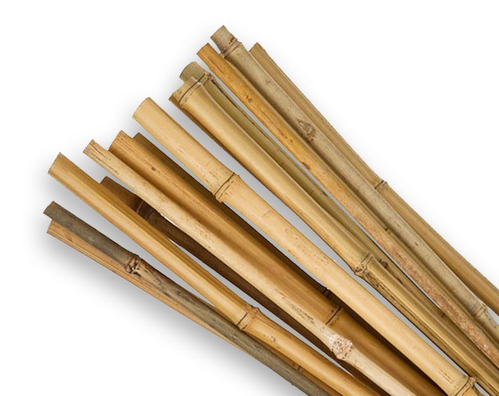 25 PZ CANNE CANNA DI BAMBOO PALI PALETTI H.210 CM SPESSORE Ø 24/26 FERR 268769