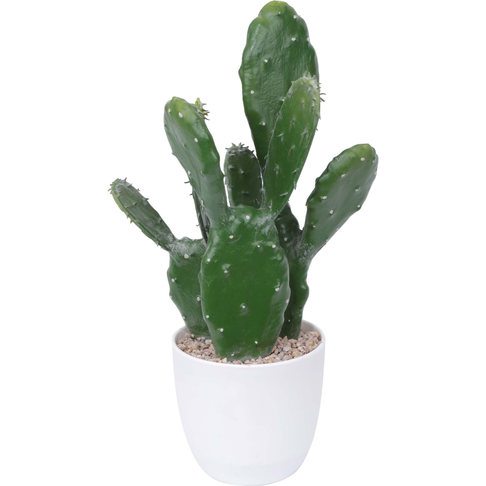 Yinleus 14Inch Artificial Cactus