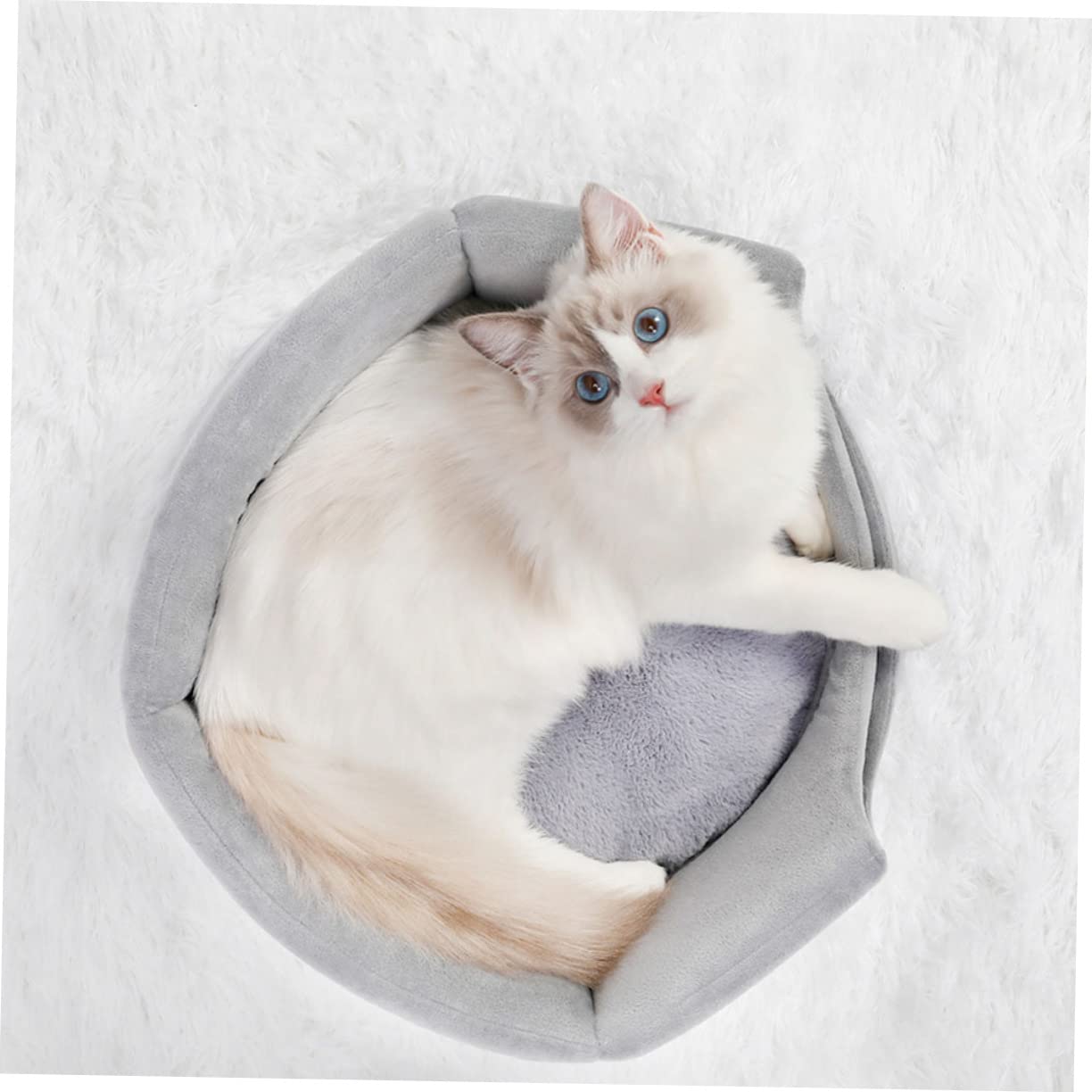 Hohopeti Cozy Cat Nest Sofa Winter Cotton Pet Dog Sofa Foldable Warm Cat Bed for Indoor Use