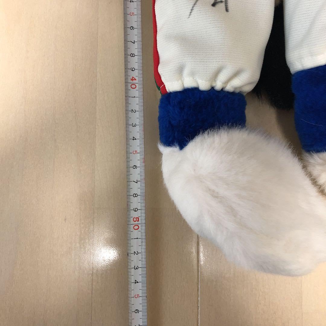 西武ライオンズ　レオ　サイン入り Amazon.co.jp: 西武ライオンズ レオぬいぐるみ サイン入り 日本製 旧