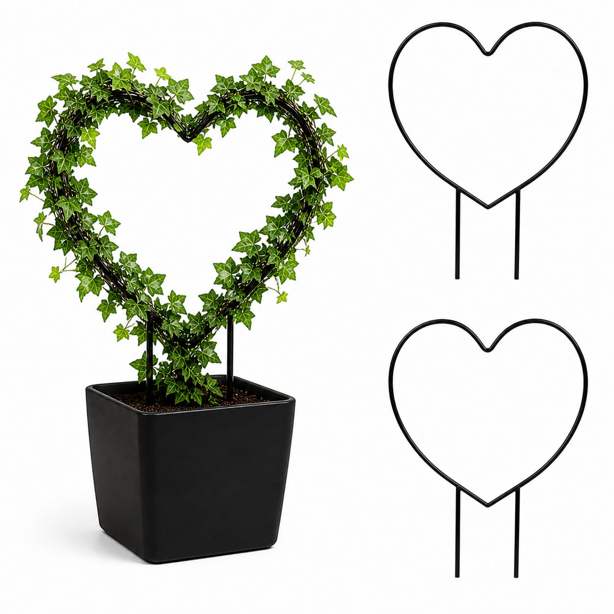 Heart Shape Plant Support Stand for Money Plant, Climbing Plants, Metal Garden Support Stick (Pack of 2, 36 cm Height, 30 cm Width)-image-18