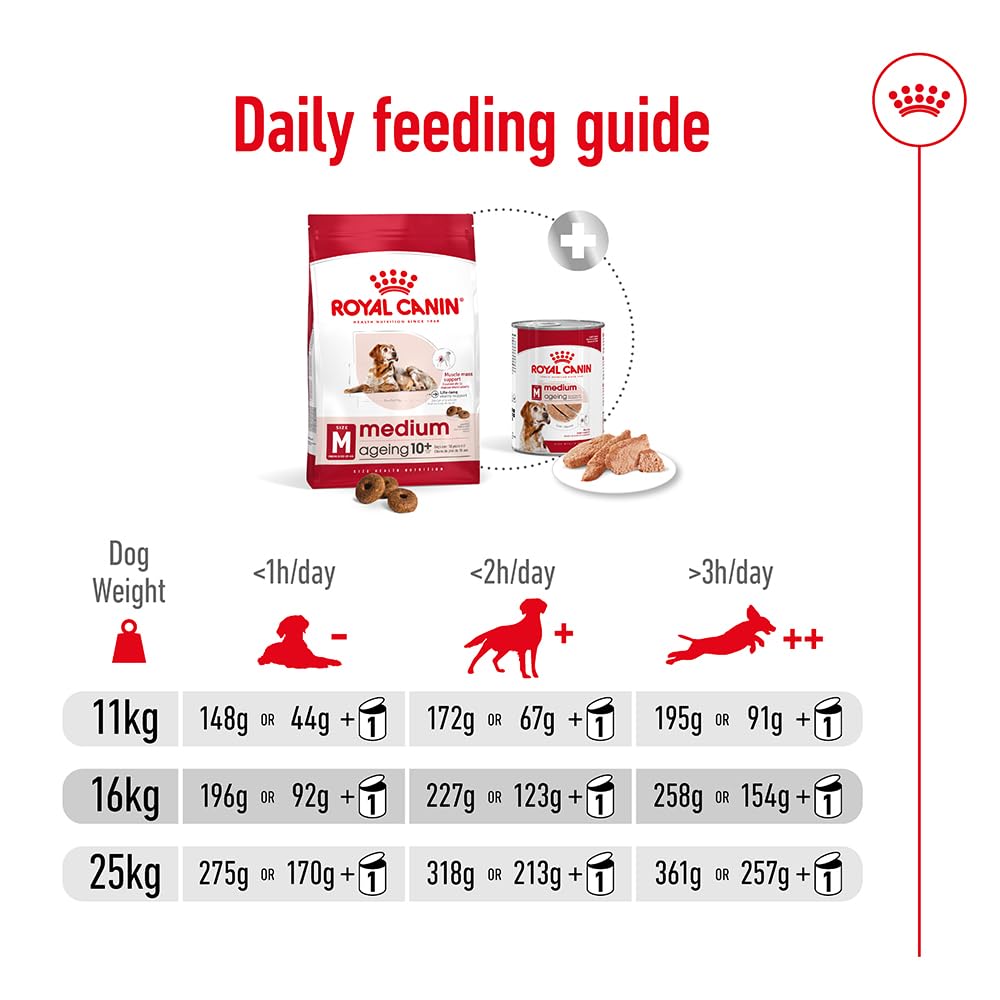 Royal Canin Comida para perros Medium Ageing +10 15kg