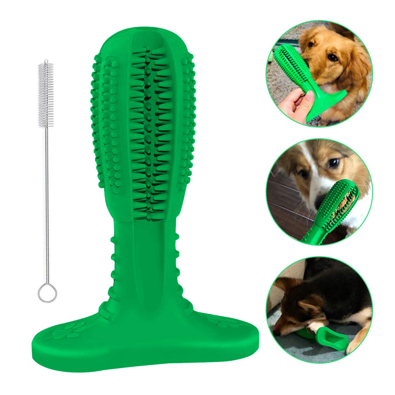 Cypin Dog Toothbrush 2019 New Pets Rubber Mint Bone Toothbrush Brushing Stick -Nontoxic Natural Rubber Dog Tooth Cleaning Toy for Dogs' Oral Care Puppy Chew,M,Green