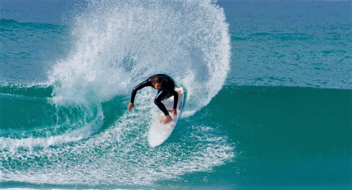 Amazon | Shapers サーフボードフィン Asher Pacey カーボンフレア