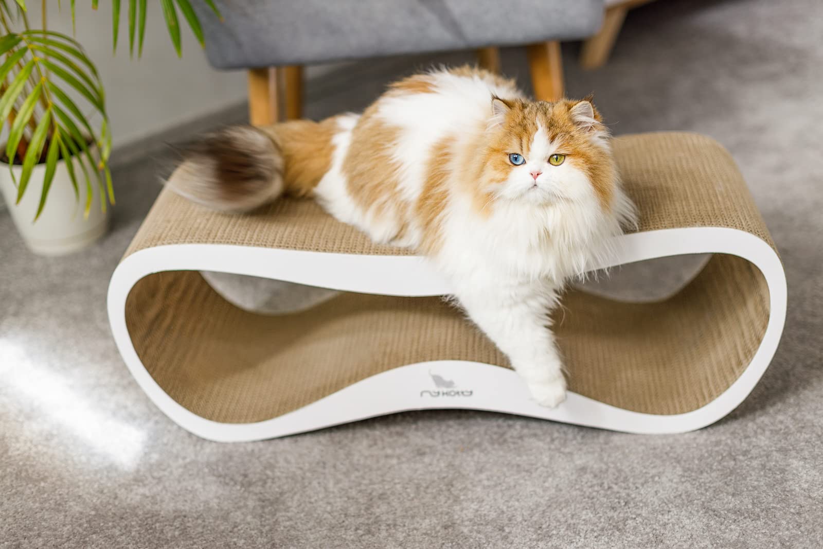 Griffoir pour Chats Carton Ondulé Herbe à Chat Lui MYKOTTY Blanc 75 x 26 x 25 cm Produit Européen Grattoir Chat